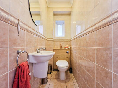 Picture 11